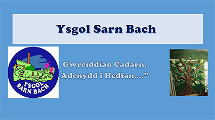 Dylunio Cwricwlwm Ysgol Sarn Bach llawlyfr